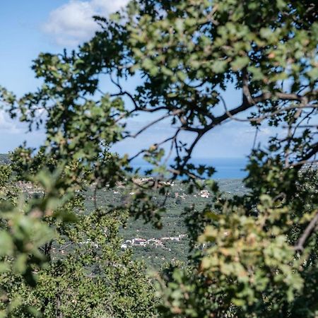 Velanis Ηouse, style into nature - secluded Κίσσαμος Εξωτερικό φωτογραφία